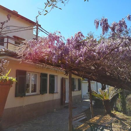 La Vivagna - Casa Vista Mare Tra Gli Ulivi Villa Leivi Eksteriør billede
