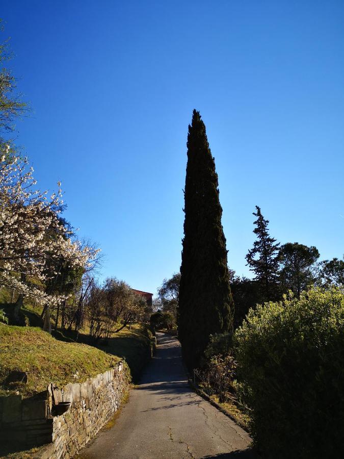 La Vivagna - Casa Vista Mare Tra Gli Ulivi Villa Leivi Eksteriør billede