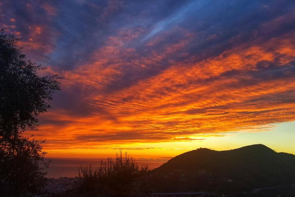 La Vivagna - Casa Vista Mare Tra Gli Ulivi Villa Leivi Eksteriør billede