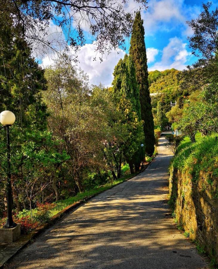 La Vivagna - Casa Vista Mare Tra Gli Ulivi Villa Leivi Eksteriør billede