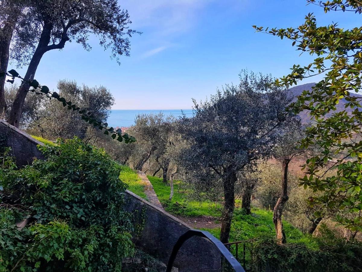 La Vivagna - Casa Vista Mare Tra Gli Ulivi Villa Leivi Eksteriør billede