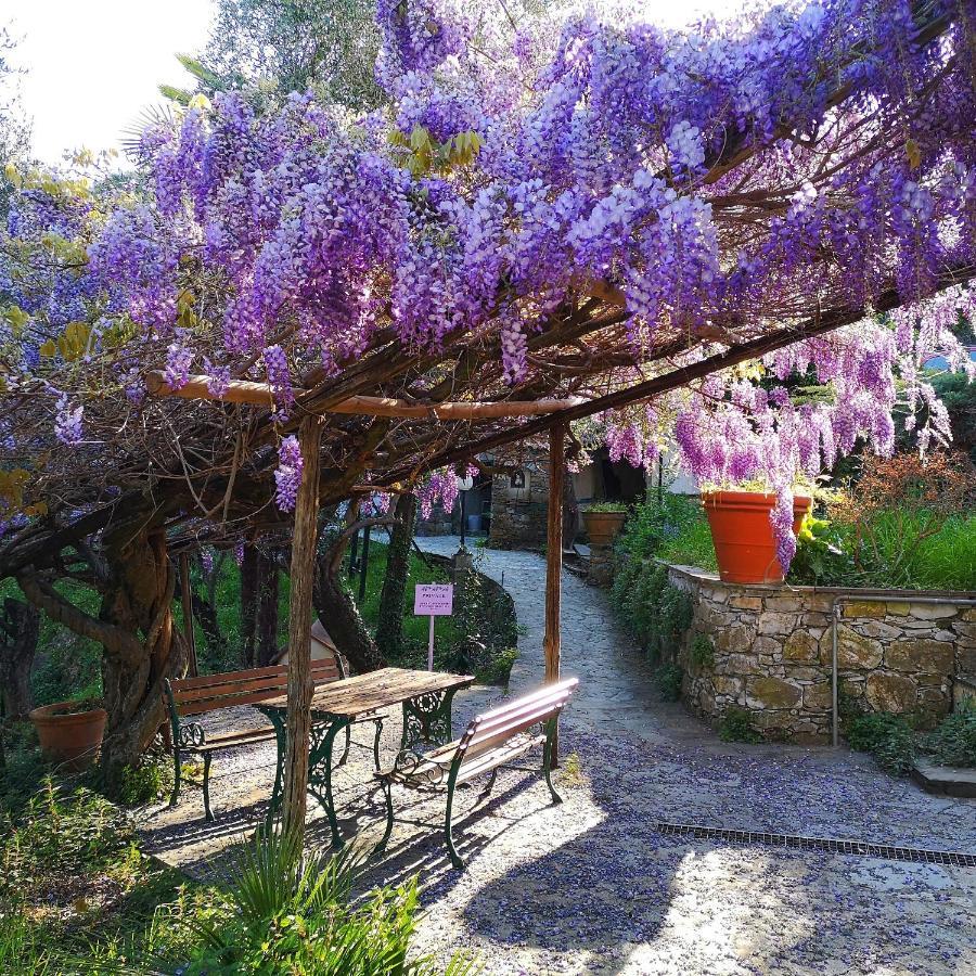 La Vivagna - Casa Vista Mare Tra Gli Ulivi Villa Leivi Eksteriør billede